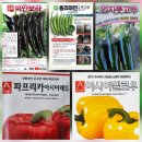 2026년 고추모종 외 모종 판매합니다. 이미지