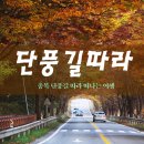 단풍길따라 [2017.11.3] - 충북 단풍길 여행 이미지