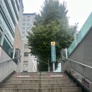 쿠킹 밥한술 | CJ더키친 쿠킹클래스 참여 후기 및 신청 방법, 무료 원데이 클래스 체험