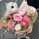화기애애플라워&플랜트