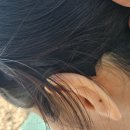 헝클머리 | 여아 머리띠 작은아씨들 헤어밴드 3종세트 후기