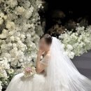 대신프라자 이미지