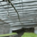 김경희농장 이미지