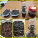 미니목장 이미지