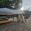 한림유치원 이미지