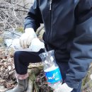 단양국유림관리소 이미지