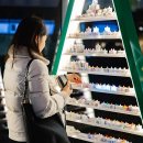 소망의 나무 이미지