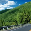 행정사 사무소 동행 이미지