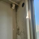 한울마을3단지 운정더클래스 | 파주 운정더클래스 탄성코트 세탁실 곰팡이 페인트 벗겨짐 후기