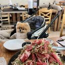 동반상사 이미지