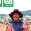 승달농장 이미지