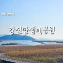 철새공원 화장실 | [강진여행] 강진만생태공원 람사르습지 산책길 운영...못지않은 갈대밭 철새도래지 무료 강진여행코스...