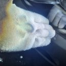 플러스AD 이미지