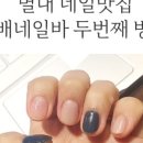 배배네일바