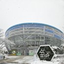 상동호수공원 | 부천 갈만한곳 상동호수공원 식물원 수피아 솔직후기