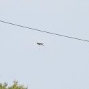 낙동강변19 이미지