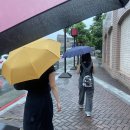 new 성인문해 중급 | ✈️ 5월의 타이베이 여행 2일 차(1) - 호텔 수영장|LOUISA COFFEE|왓슨스|메이얼메이|서문면점|용허또우장...