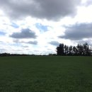 소밥주는남자 이미지