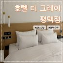 더자모텔 | 평택숙박 호텔 더 그레이 평택점 송탄모텔 방문 후기