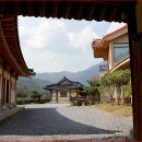 명인다원