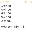 당당하개 | 반년만에 개같이 부활