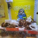 캐칭덕 오락실 이미지