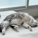 다정한오후 이미지