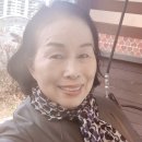 일석이조 이미지