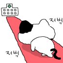 신협 앞 횡단보도 이미지