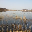 웅천 소류지 이미지