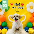 털로 덮인 친구들 인천검단점 이미지