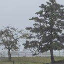 선양목장 이미지