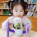 솔밭왓앤와이유치원 네이버블로그