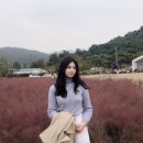 주식회사 이숲 이미지