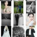 대구 웨딩촬영 반호 스튜디오 예약 후기 금액 구성