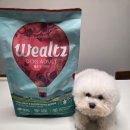 댕댕아 이리온 | 웰츠 프리미엄생육사료로 강아지사료 바꿔본 솔직 후기