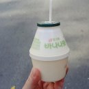 무교동 우정낙지 이미지