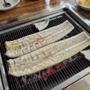 장안민물장어 | 수원 성대역 맛집-은행나무장어::보양식 최고 풍천민물장어 후기