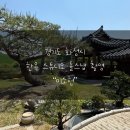 화성점 | 미소헌 한옥 스튜디오 화성점 내돈내산 후기 오전 10시 촬영