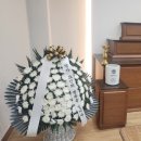 의료법인 밀성학원 의료재단성모요양병원 | 여의도성모병원 장례식장 근조화환, 재활용 없는 새국화 정품화환을 찾는다면