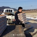 귀평 이미지