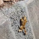 황새마을 이미지