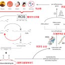오씨드 이미지