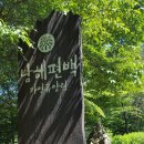 편백자연휴양림 이미지