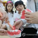 잠신초교병설유치원 이미지