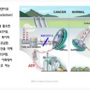 뉴바이오(주) 네이버블로그