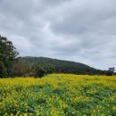 대수산봉 이미지