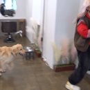 개미용실 이미지