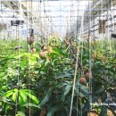 덕치농장 이미지