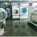 사계절세탁 이미지